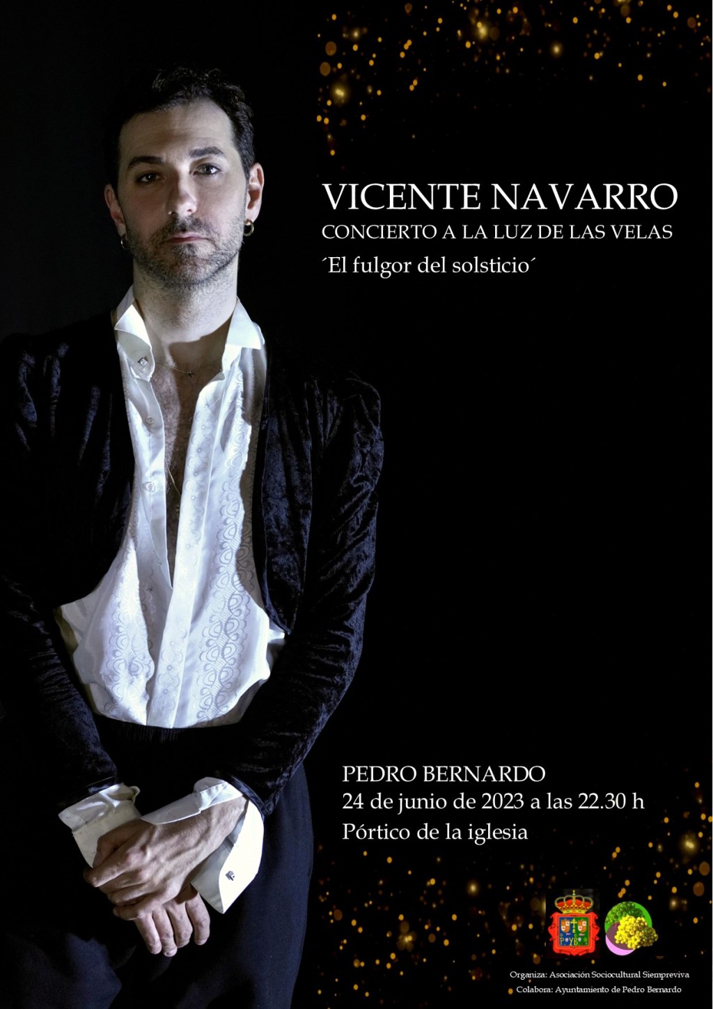 Concierto de Vicente Navarro en Pedro Bernardo